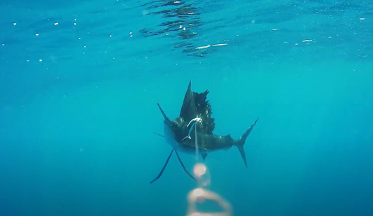 The Secret Weapon for Game-Changing Fishing Content
