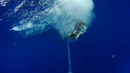 How Underwater Fishing Cameras Are Changing the Game for Anglers