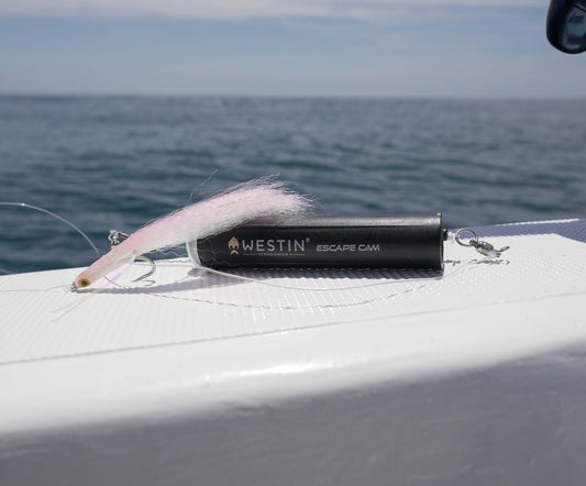 How to Succeed with Your WestinCam in Colder Saltwater