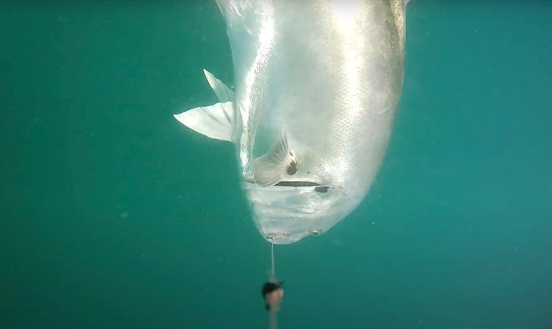 The Best Underwater Fishing Camera Tips & Tricks