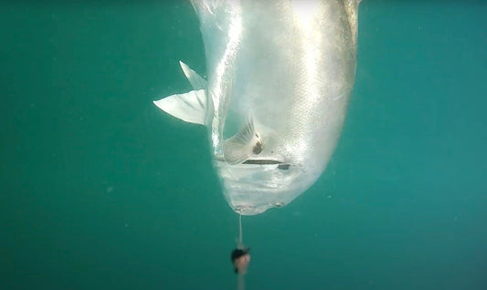 The Best Underwater Fishing Camera Tips & Tricks