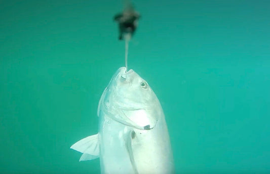 Fishing with a Wireless Underwater Camera