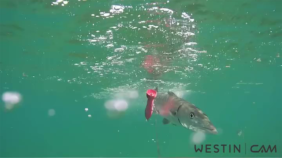 Camera Gear For Fishing Content Creators