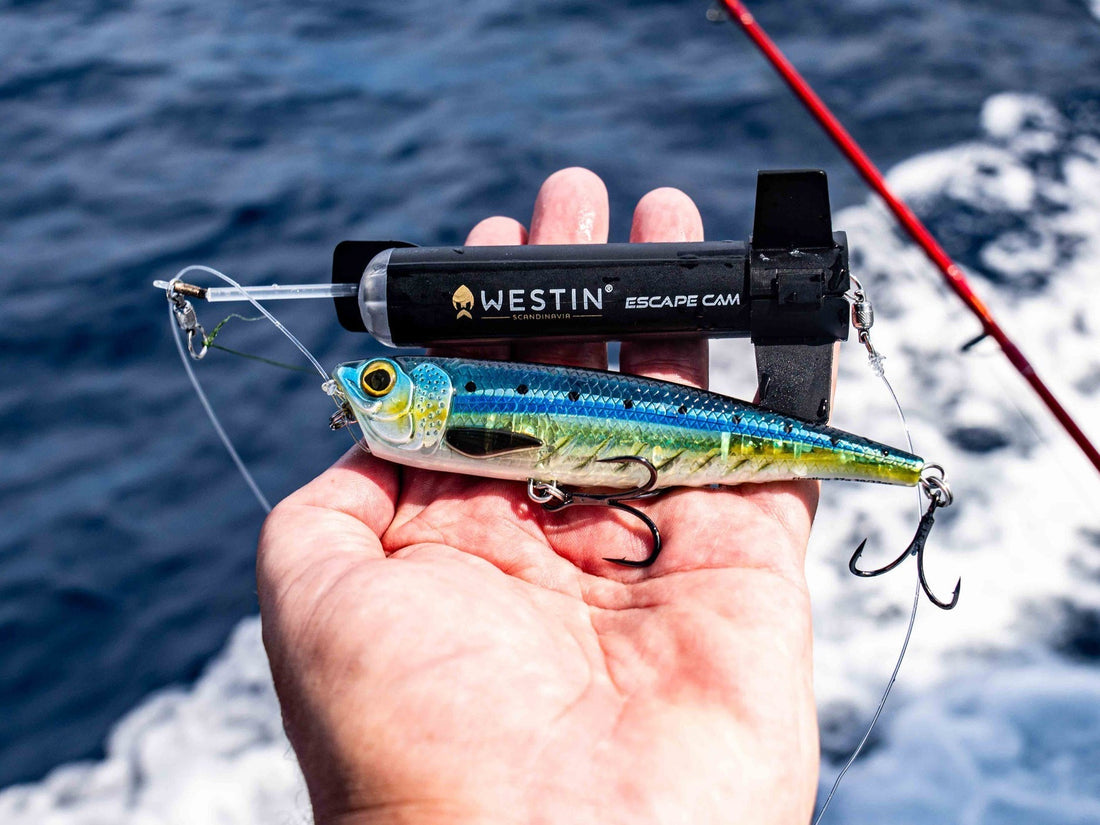 Capture Epic Footage With a Fishing Lure Cam!
