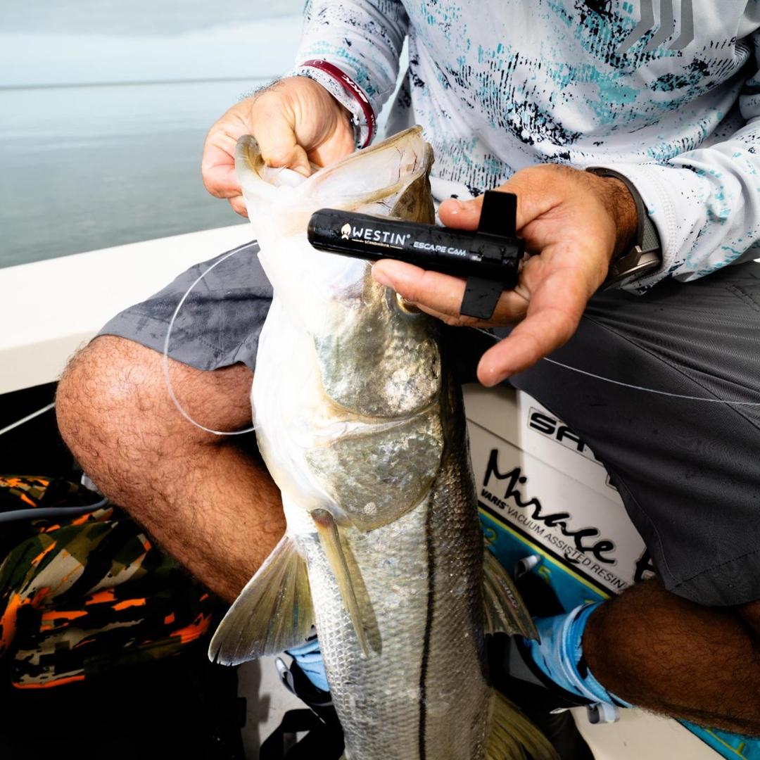 How Wireless Underwater Fishing Cameras Change the Way You Fish