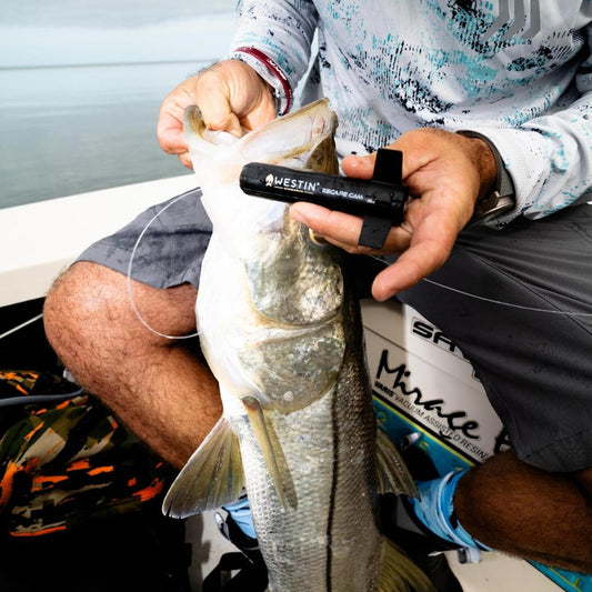 How Wireless Underwater Fishing Cameras Change the Way You Fish
