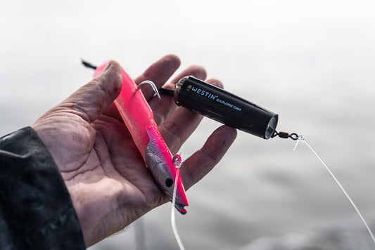 Are Castable Fishing Cameras Worth It?