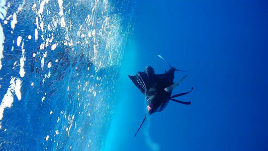 Bringing the Strike to the Screen