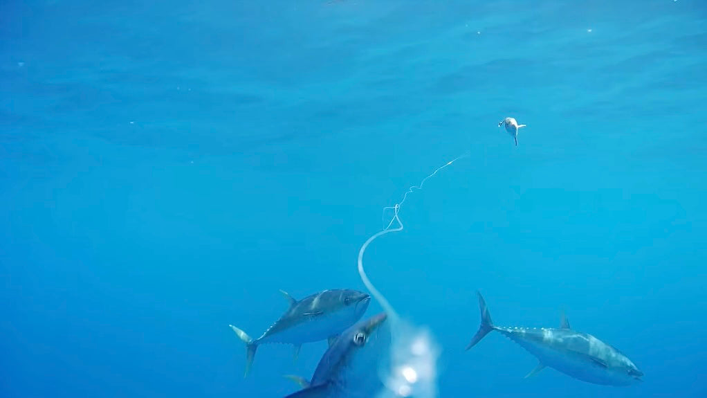 Fishing Cameras - How Do They Work & Are They Worth It?