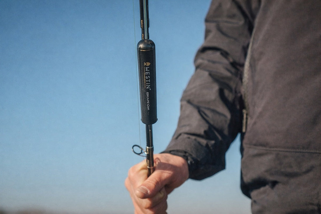 Things You Can Learn Fishing with Wireless Underwater Cameras